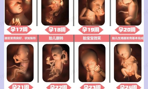 心衰病人可以透析嘛网心衰病人一般能活多久知识网站,分享心衰病人不能吃的食物大全